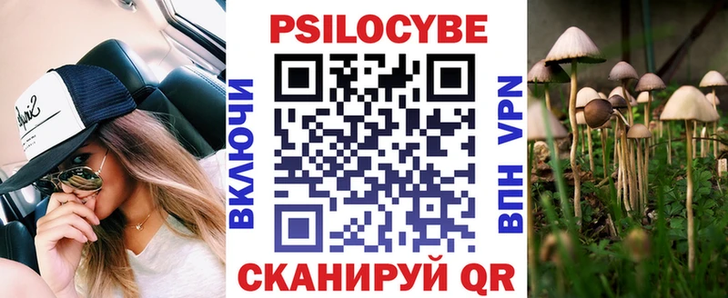 Псилоцибиновые грибы GOLDEN TEACHER  мега вход  Саранск  сайты даркнета как зайти  закладки 