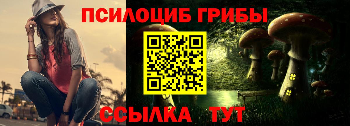 наркота  Псилоцибиновые грибы GOLDEN TEACHER  Вход с VPN  Саранск 